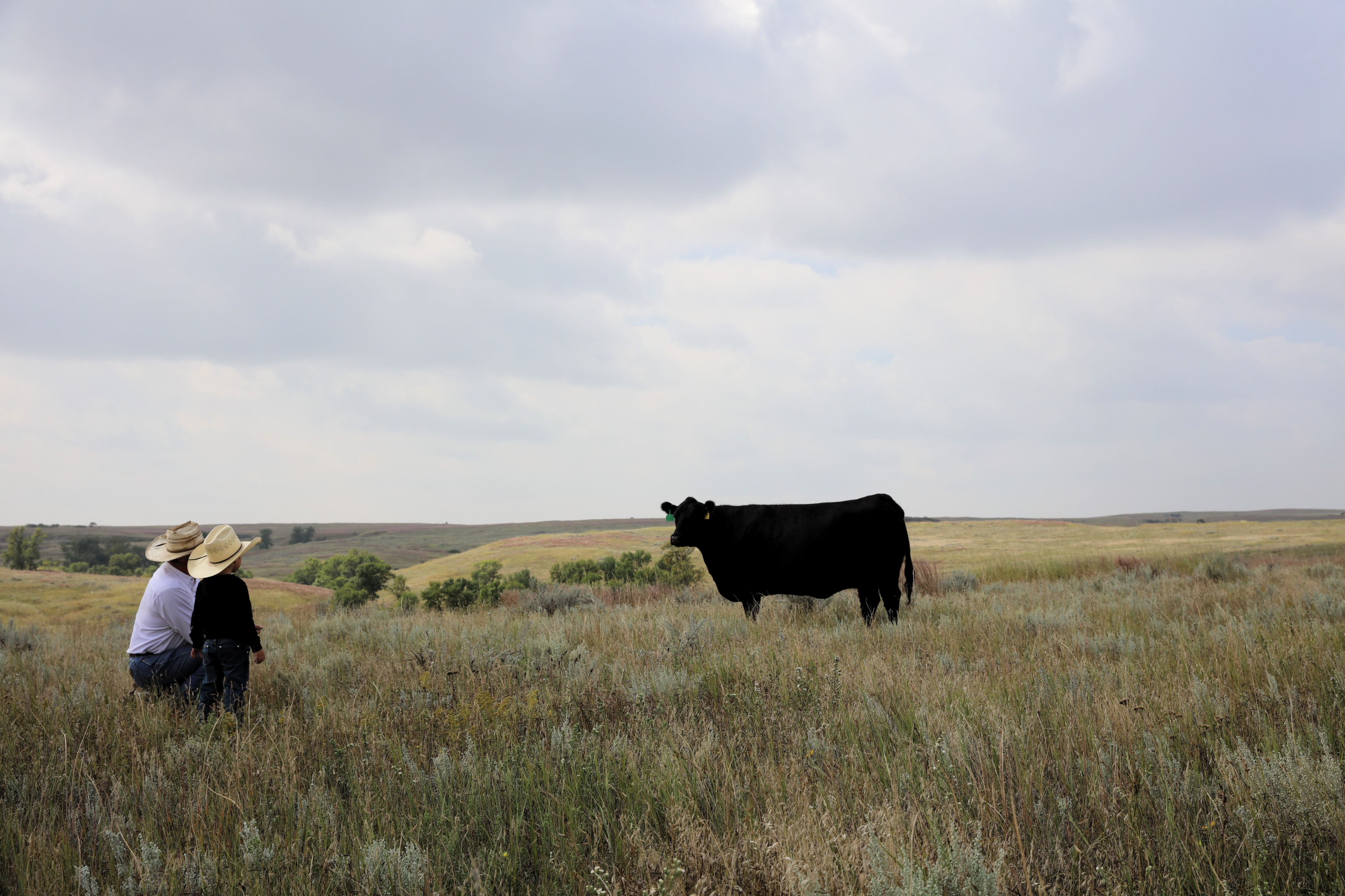 D Lazy T Blossom 011