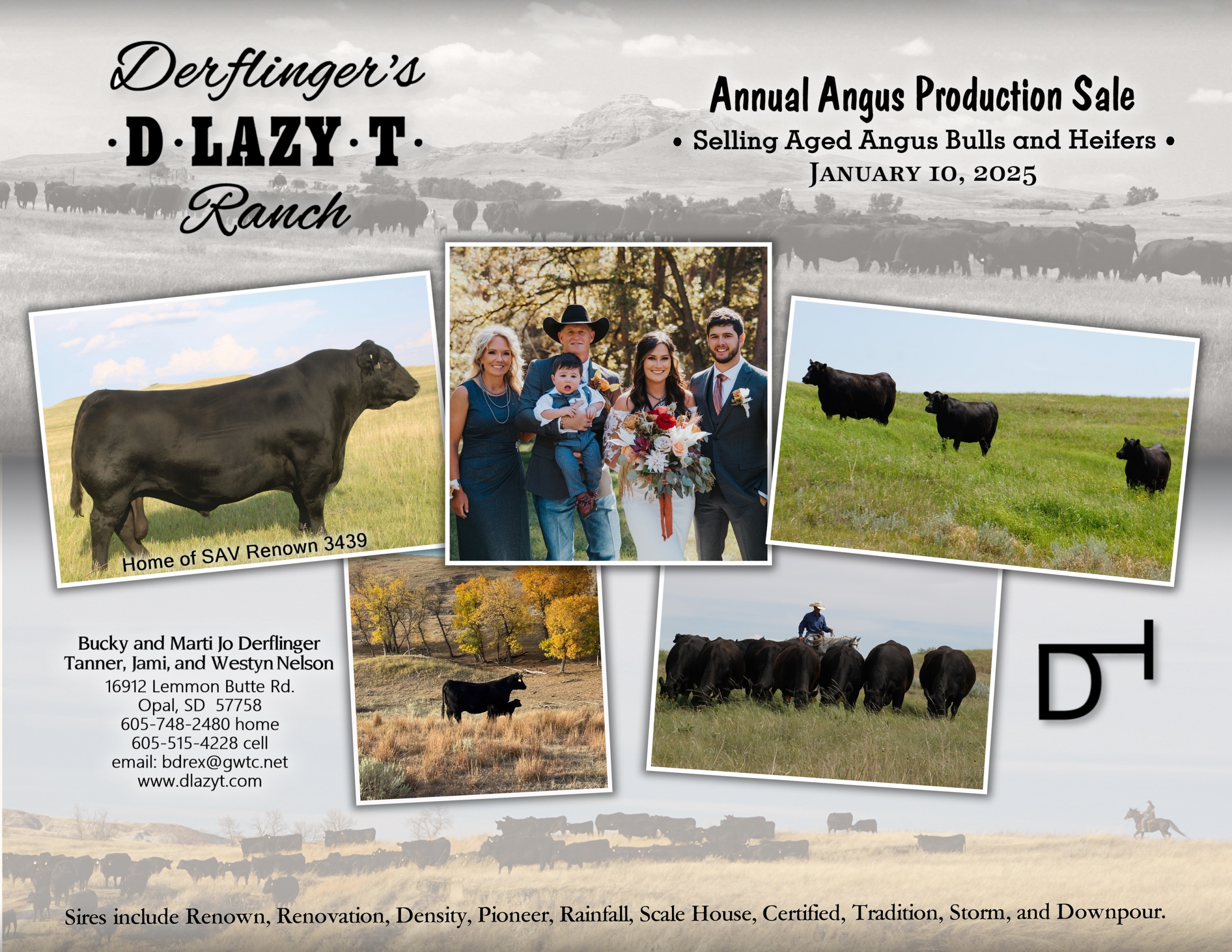 production sale info