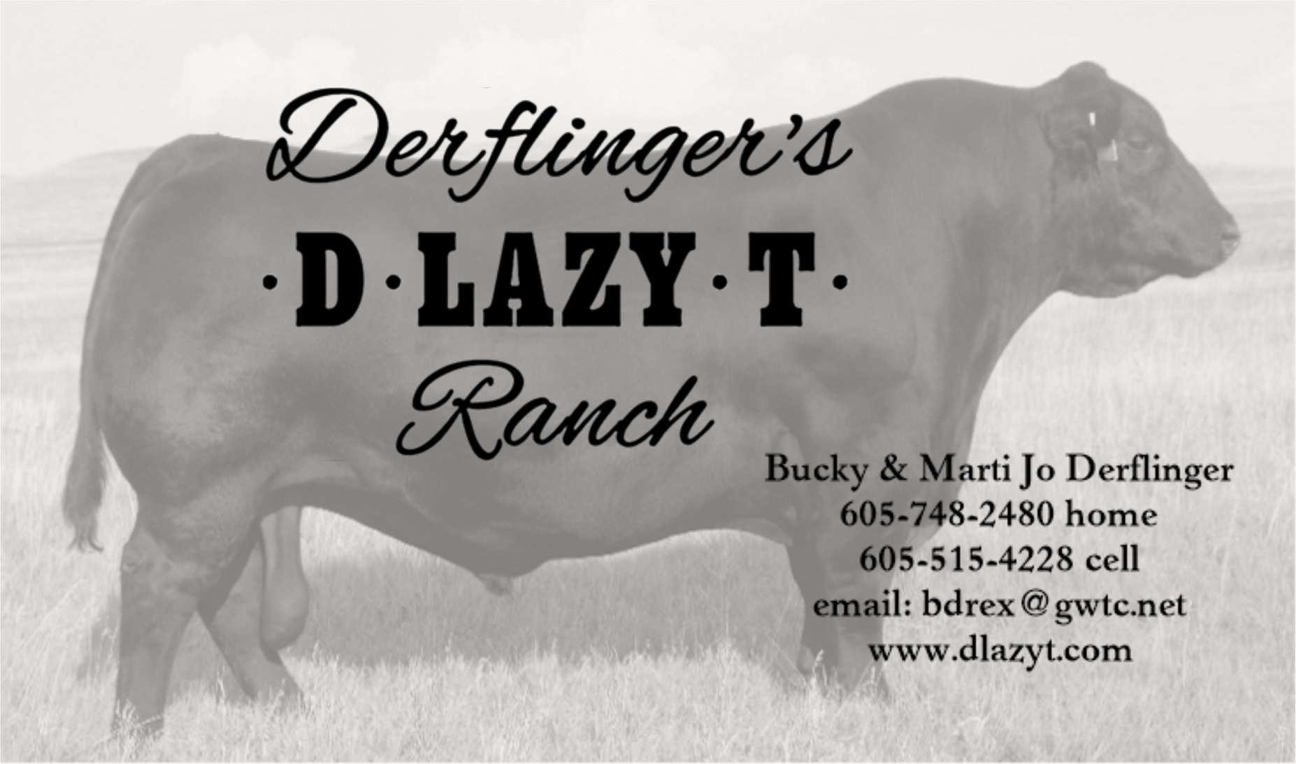 D Lazy T Ranch info